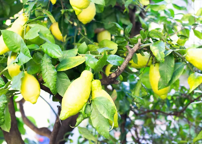 Apartmán Casa Margherita *